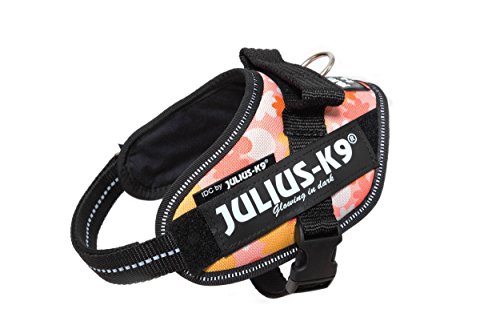 Julius-K9 16IDC - Power Harness