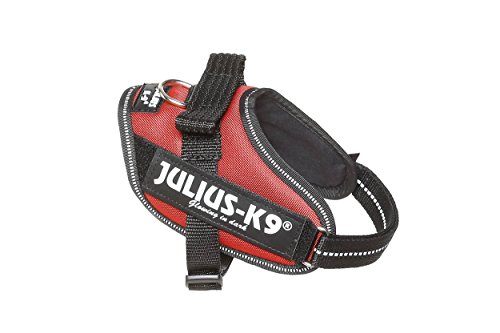 Julius-K9 16IDC - Power Harness