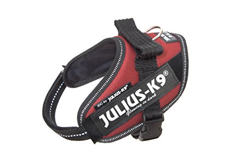 Julius-K9 16IDC - Power Harness