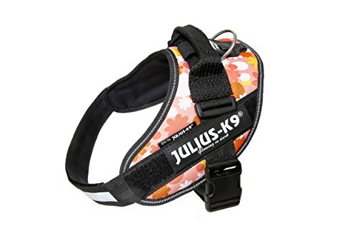 Julius-K9 16IDC - Power Harness