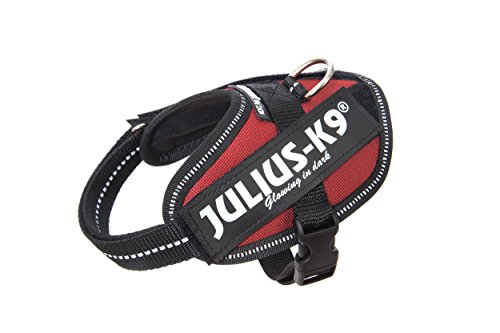 Julius-K9 16IDC - Power Harness