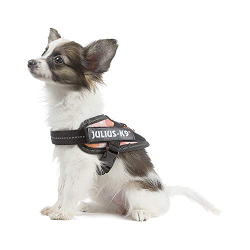 Julius-K9 16IDC - Power Harness