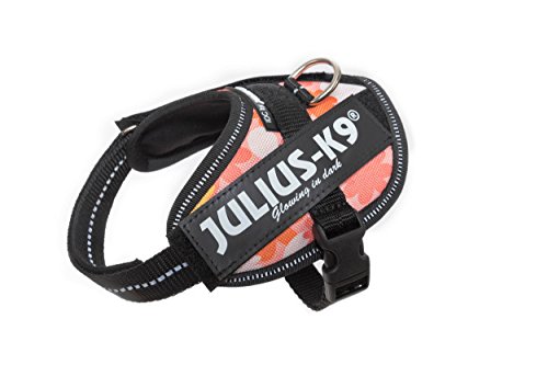 Julius-K9 16IDC - Power Harness