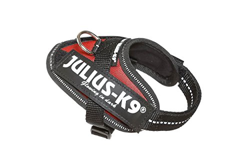 Julius-K9 16IDC - Power Harness