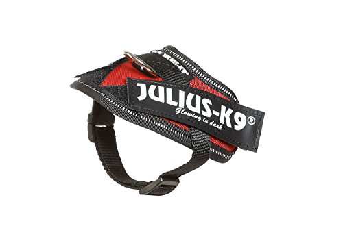 Julius-K9 16IDC - Power Harness