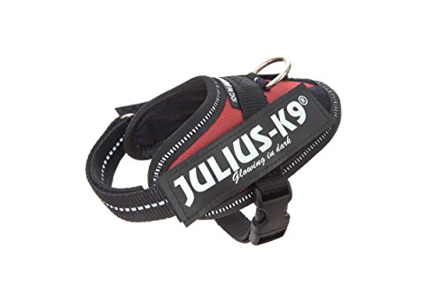 Julius-K9 16IDC - Power Harness