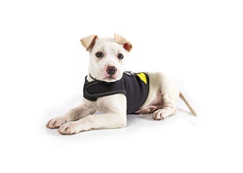 Julius-K9, Chaqueta de neopreno para perro IDC, Talla: XS, Negro y Amarillo