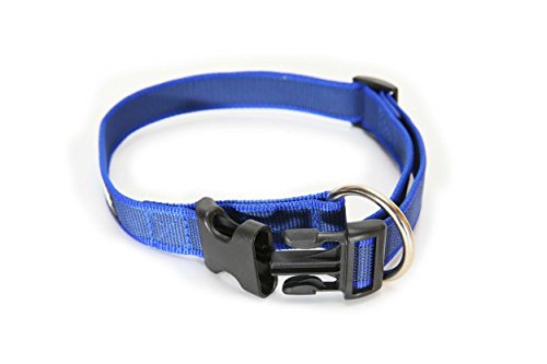 Julius-K9 Collar Color & Gray, 25 mm (39-65 cm), Azul-Gris