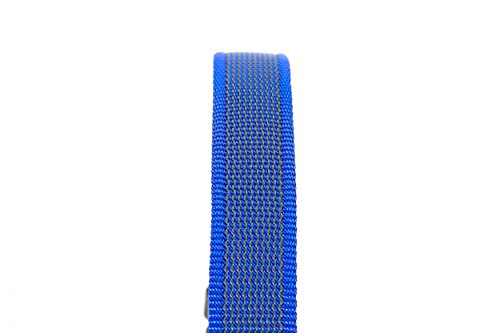 Julius-K9 Collar Color & Gray, 25 mm (39-65 cm), Azul-Gris