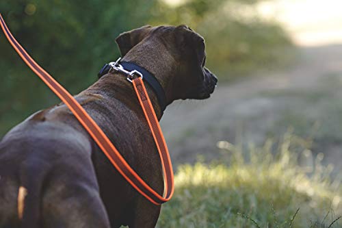 Julius-K9 Collar Color & Gray, 25 mm (39-65 cm), Negro-Gris