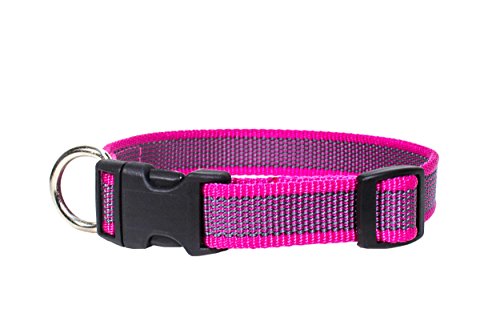 Julius-K9 Collar Color & Gray, 25 mm (39-65 cm), Rosado-Gris