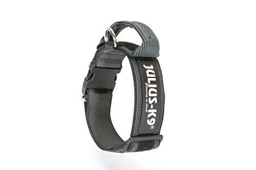 Julius-K9 Collar Color & Gray con la manija, la cerradura de seguridad y el remiendo intercambiables, 50 mm (49-70 cm), Negro-Gris