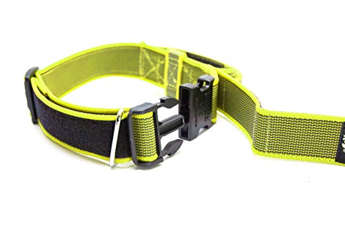 Julius-K9 Collar Color & Gray con la manija, la cerradura de seguridad y el remiendo intercambiables, 50 mm (49-70 cm), Neón-Gris