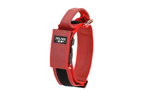 Julius-K9 Collar Color & Gray con la manija, la cerradura de seguridad y el remiendo intercambiables, 50 mm (49-70 cm), Rojo-Gris