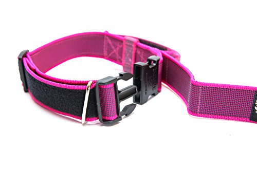 Julius-K9 Collar Color & Gray con la manija, la cerradura de seguridad y el remiendo intercambiables, 50 mm (49-70 cm), Rosado-Gris