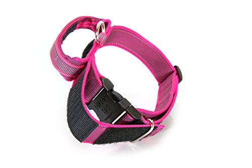 Julius-K9 Collar Color & Gray con la manija, la cerradura de seguridad y el remiendo intercambiables, 50 mm (49-70 cm), Rosado-Gris