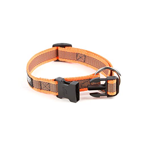 Julius-K9 Color & Gray Collar, 20 Mm (27-42 Cm), Naranja-Gris