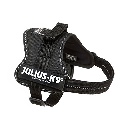 Julius-K9 Mini, 51-67 cm, Negro