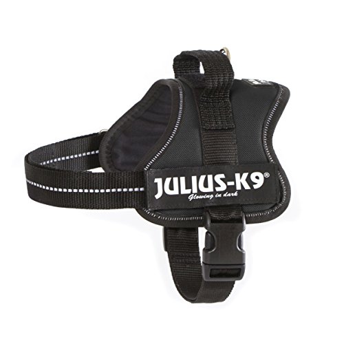 Julius-K9 Mini-Mini, 40-53 cm, Negro