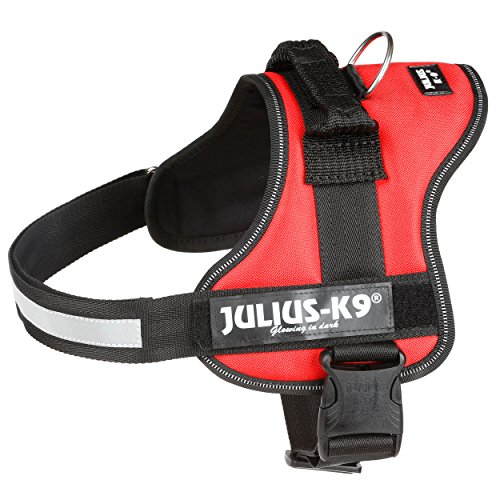 Julius-K9, Talla 0, 58-76 cm, Rojo