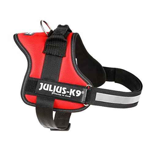 Julius-K9, Talla 0, 58-76 cm, Rojo