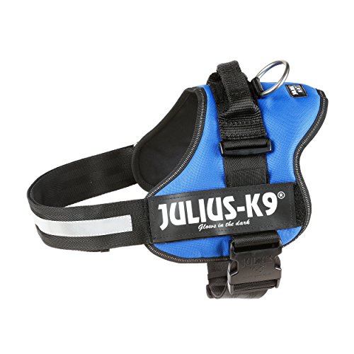 Julius-K9, Talla 1, 66-85 cm, Azul