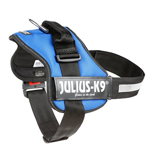 Julius-K9, Talla 1, 66-85 cm, Azul