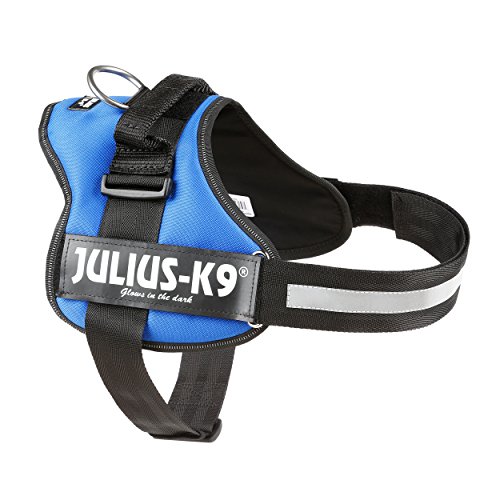 Julius-K9, Talla 1, 66-85 cm, Azul