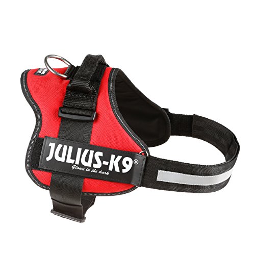 Julius-K9, Talla 1, 66-85 cm, Rojo