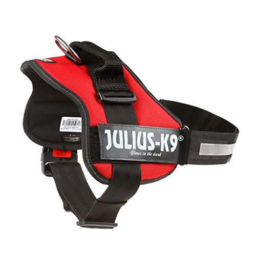 Julius-K9, Talla 1, 66-85 cm, Rojo