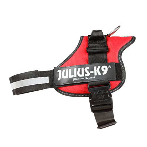 Julius-K9, Talla 1, 66-85 cm, Rojo