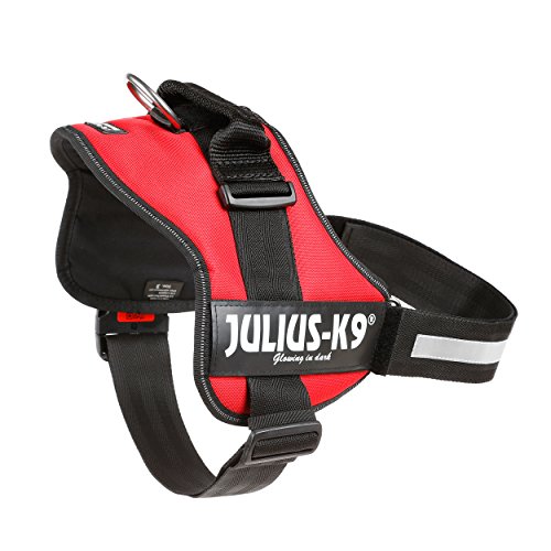 Julius-K9, Talla 3, 82-118 cm, Rojo