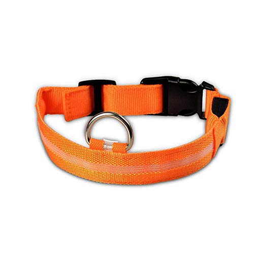 JUNSHUO Collar para Perro(LED Recargable),de Nylon, para Perros Grandes, medianos y Pequeños | obtenible en Distintos Colores y Tamaños，Collar para Gatos Ajustable（ 34-52cm） Parpadeo (L, Naranja)