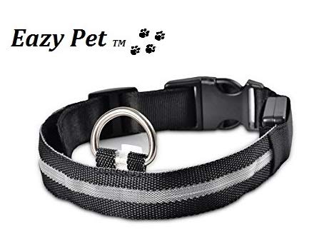 King Charles Cavalier - Collar de Perro con luz LED Intermitente, Color Negro