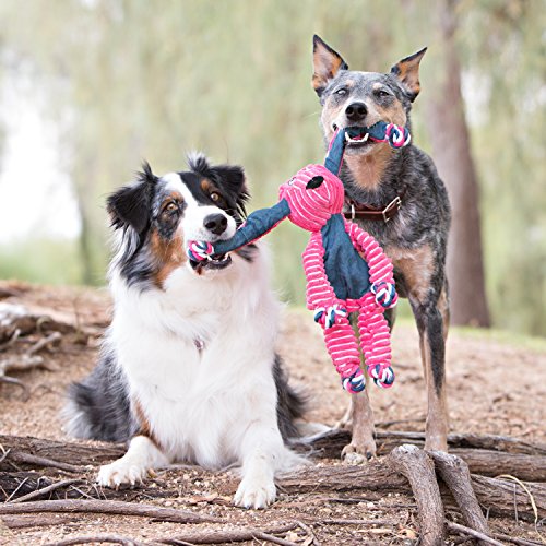 KONG - Floppy Knots Fox - Juguete con Cuerdas internas antirrotura - para Perros Pequeños/Medianos