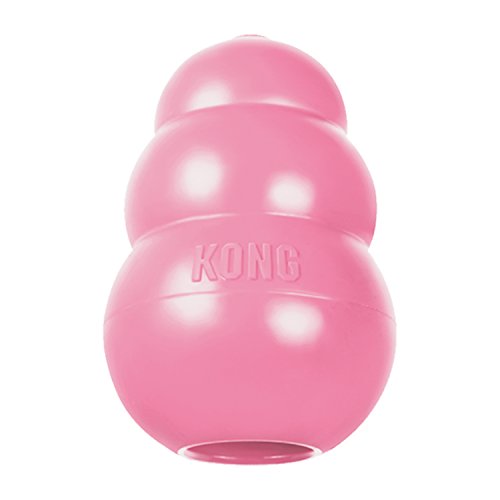 Kong Puppy Medium