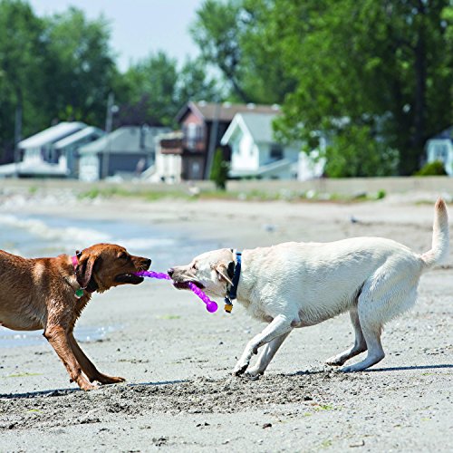 KONG - SafeStix - Juguete Flexible en Materiales Seguros y Resistentes - para Perros de Raza Mediana