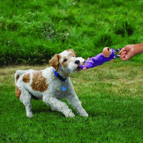 KONG - Tugger Knots Frog - Juguete para Estirar, con Poco Relleno y Aros - para Perros de Raza Pequeña/Mediana