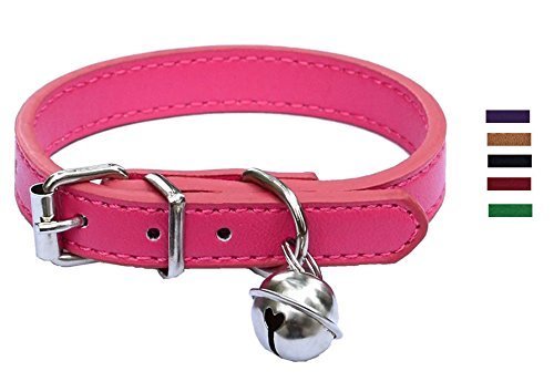 Lanyar Collares de Piel para Mascotas para Gatos, Cachorros de bebé, Ajustables de 20 a 26,5 cm