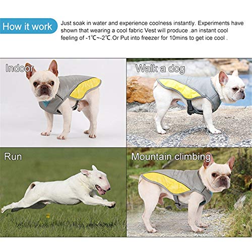 lffopt Ropa para Perros Chaleco Perro Refrescante Chalecos para Perros Chaleco de Hielo para Perros Chaleco de Hielo para Perros Abrigos Frescos para Perros XS