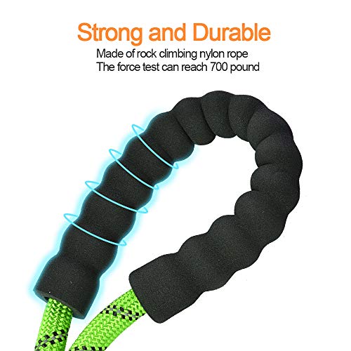 Litthing Correa para el Perro Nylon Ajustable Negro sólido Reflectante 150 cm para Perros Grandes o medianos Adecuado para Correr Senderismo Correr (Verde)