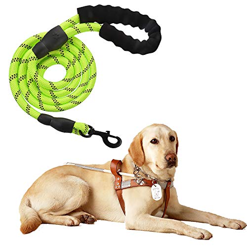 Litthing Correa para el Perro Nylon Ajustable Negro sólido Reflectante 150 cm para Perros Grandes o medianos Adecuado para Correr Senderismo Correr (Verde)