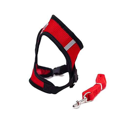 Locisne Tela de malla chaleco para perros Arnés suave ajustable cómodo | El plomo en el pecho del animal doméstico caminar con correa con clip (rojo, Medio)