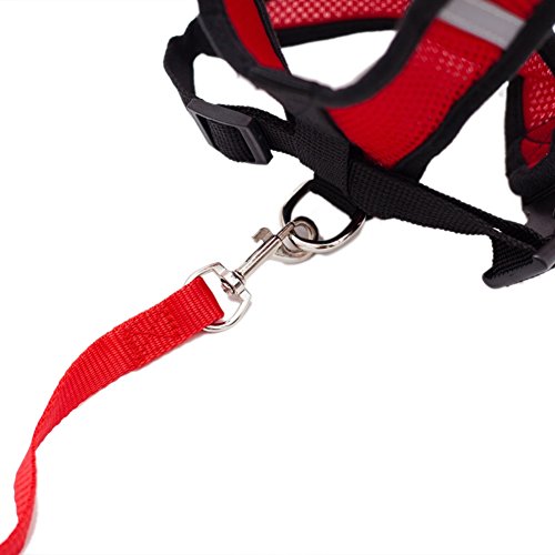 Locisne Tela de malla chaleco para perros Arnés suave ajustable cómodo | El plomo en el pecho del animal doméstico caminar con correa con clip (rojo, Medio)