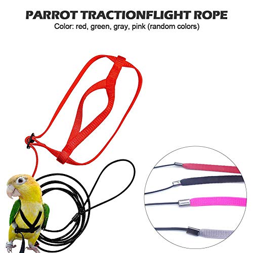 luminiu Anti-Bite Ajustable Arnés y Correa,Bird Leash con Correa Volando Anti Mordida Tracción Cuerda Entrenamiento Cuerda de Paseo Loro Cacatúa Cuello Redondo Paracakeet Cóctel Tamaño Pequeño