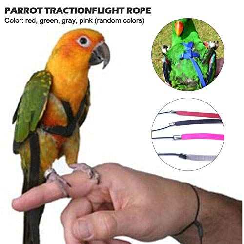 luminiu Anti-Bite Ajustable Arnés y Correa,Bird Leash con Correa Volando Anti Mordida Tracción Cuerda Entrenamiento Cuerda de Paseo Loro Cacatúa Cuello Redondo Paracakeet Cóctel Tamaño Pequeño