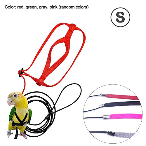 luminiu Anti-Bite Ajustable Arnés y Correa,Bird Leash con Correa Volando Anti Mordida Tracción Cuerda Entrenamiento Cuerda de Paseo Loro Cacatúa Cuello Redondo Paracakeet Cóctel Tamaño Pequeño