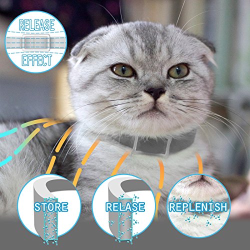 Magichome Collar Antiparasitario para Gatos contra Pulgas, Garrapatas y Mosquitos …