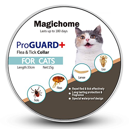 Magichome Collar Antiparasitario para Gatos contra Pulgas, Garrapatas y Mosquitos …