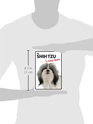 Magnet & Steel 23-3615 Señal A5 Shih Tzu - Lives Here, 14.8 x 21 cm